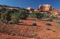 canyonlands np - the needles - utah 013